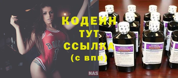 индика Гусев