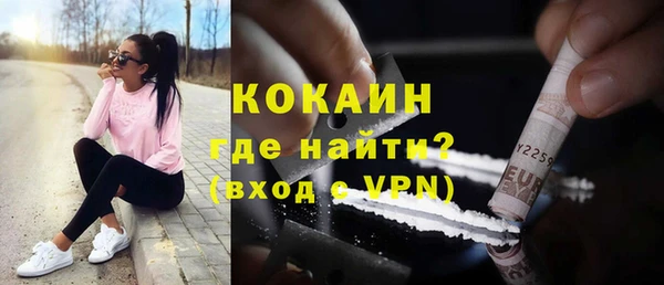 индика Гусев