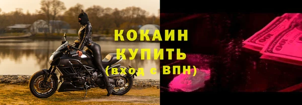 трава Гусиноозёрск