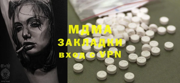 индика Гусев