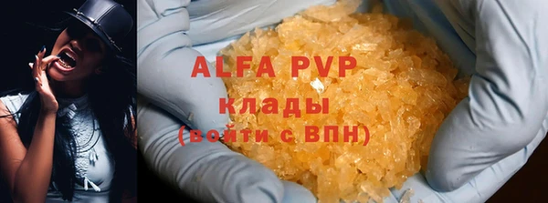 индика Гусев