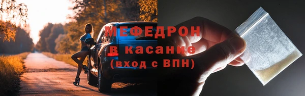 ECSTASY Гусь-Хрустальный