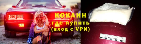 ECSTASY Гусь-Хрустальный