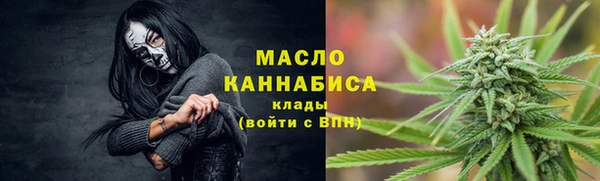 трава Гусиноозёрск