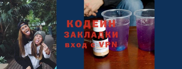 ECSTASY Гусь-Хрустальный