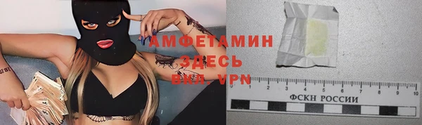 трава Гусиноозёрск