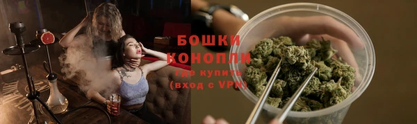 трава Гусиноозёрск