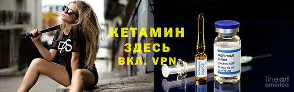 индика Гусев