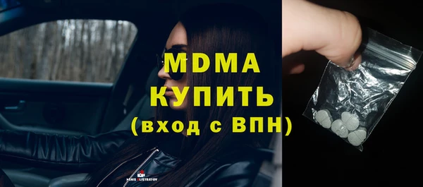 индика Гусев