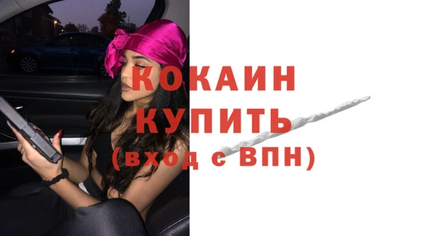 индика Гусев