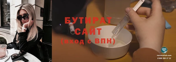индика Гусев