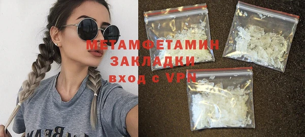 индика Гусев