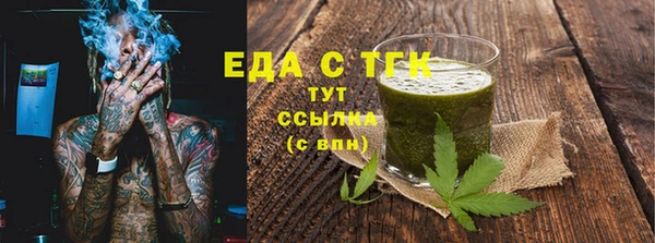 индика Гусев