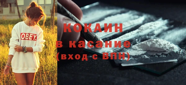 ECSTASY Гусь-Хрустальный