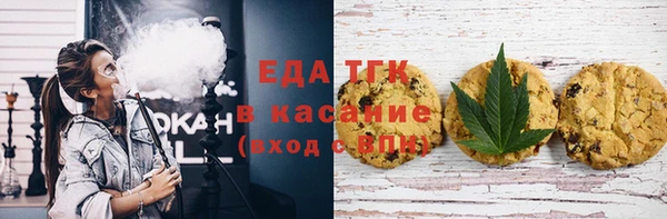 индика Гусев