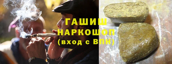 индика Гусев