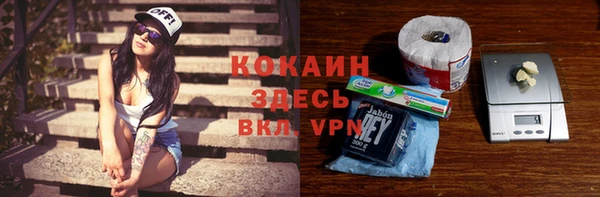 трава Гусиноозёрск