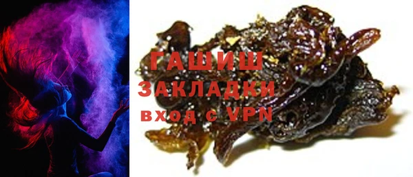 индика Гусев