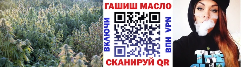 ТГК концентрат  Купить  Новоаннинский 