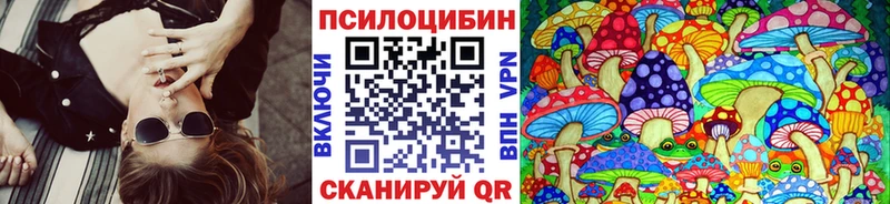 Купить где  Новоаннинский  Галлюциногенные грибы Cubensis 