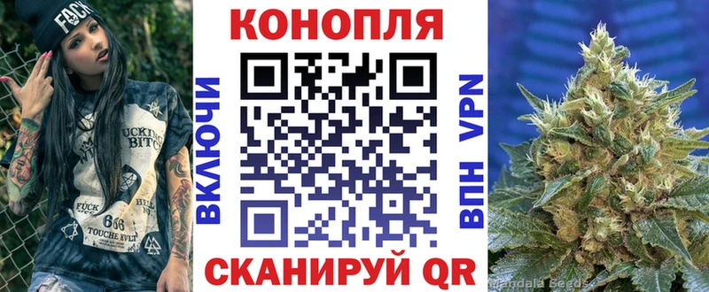 Купить закладки  Новоаннинский  МАРИХУАНА сатива 